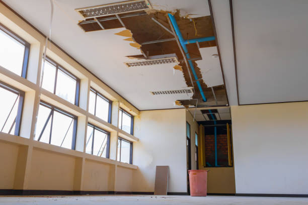 Best Water damage cleanup near me  in Bellair Meadowbrook Terrace, FL