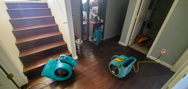 Best Water damage restoration specialists  in Bellair Meadowbrook Terrace, FL