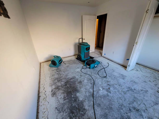Best Sewage cleanup and water damage restoration  in Bellair Meadowbrook Terrace, FL
