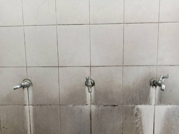 Best Fire Damage Restoration  in Bellair Meadowbrook Terrace, FL