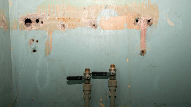 Best Residential water damage restoration  in Bellair Meadowbrook Terrace, FL