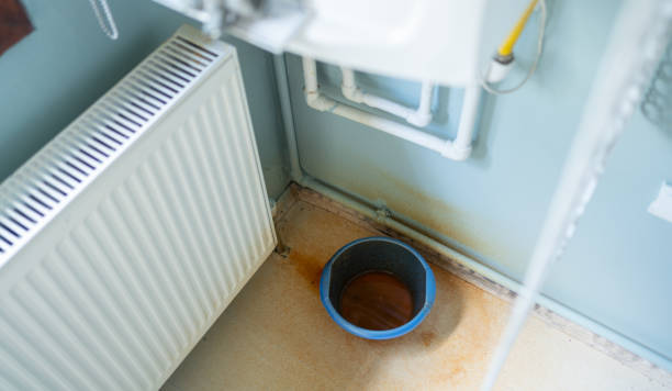Best Commercial water damage restoration  in Bellair Meadowbrook Terrace, FL