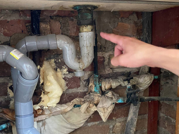 Best Professional water damage repair  in Bellair Meadowbrook Terrace, FL