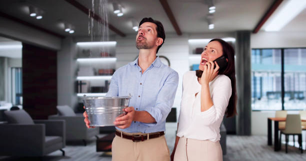 Best Basement water damage restoration  in Bellair Meadowbrook Terrace, FL