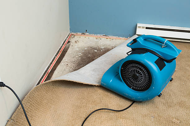 Best Water damage restoration process  in Bellair Meadowbrook Terrace, FL